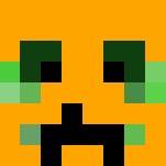 snowgolam hunter - Interchangeable Minecraft Skins - image 3