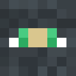 Rogue skin 1.7.10 - Male Minecraft Skins - image 3