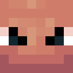 Charmeleon - Other Minecraft Skins - image 3