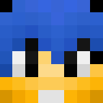 King Of Cats - Interchangeable Minecraft Skins - image 3