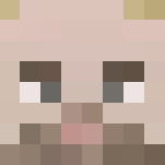 HP: Lucius Malfoy (classic) - Male Minecraft Skins - image 3