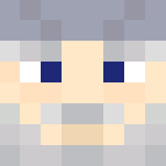 Gandalf - Male Minecraft Skins - image 3