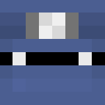 Epic Pirate Ninja! - Interchangeable Minecraft Skins - image 3