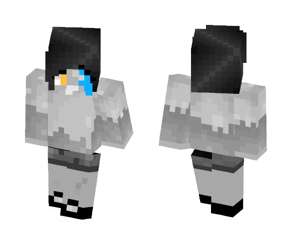 First Skin - Interchangeable Minecraft Skins - image 1