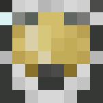 Black and White Spartan - Interchangeable Minecraft Skins - image 3