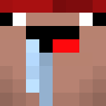 Download Free Derp the traveller ! Skin for Minecraft image 3 Derp the traveller ! - Male Minecraft Skins - image 3