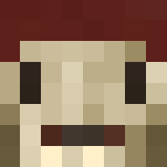Rogue Specter - Interchangeable Minecraft Skins - image 3