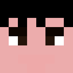 The Inquisition Flether - Male Minecraft Skins - image 3