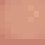 B0xCat Request - Other Minecraft Skins - image 3