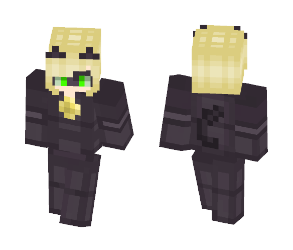 Cat Noir ~ Miraculous Skin Series - Cat Minecraft Skins - image 1