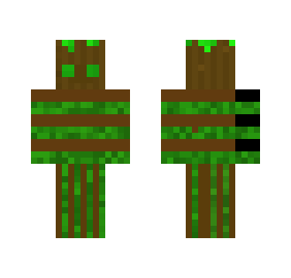 Woody The Tree