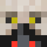 Darth I forget his name - Male Minecraft Skins - image 3