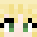 Fate/Stay Night - Saber - Male Minecraft Skins - image 3