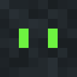 Hidden turtle - Interchangeable Minecraft Skins - image 3
