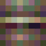 Ronin - Interchangeable Minecraft Skins - image 3