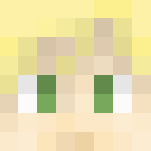 Download Free Saber / King Arthur - Fate series Skin for Minecraft image 3 Saber / King Arthur - Fate series - Female Minecraft Skins - image 3