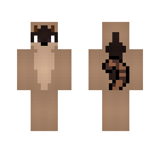 Raccoon Furry Skin