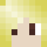 Forth Of July Skin - Female Minecraft Skins - image 3