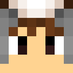 Raccoon - Male Minecraft Skins - image 3