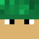 Zoro V1 - Male Minecraft Skins - image 3