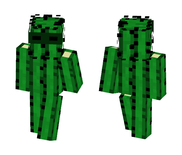 MrCBax Cool Cactus - Interchangeable Minecraft Skins - image 1