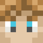 Link - TLOZ Breath Of The Wild - Male Minecraft Skins - image 3