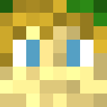 Media Universe Skins | Link - Male Minecraft Skins - image 3