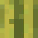 Melon Head | Removable Melon! - Female Minecraft Skins - image 3
