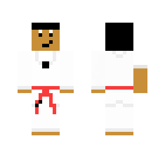 zap648's Martial Arts skin