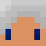 Silver - Interchangeable Minecraft Skins - image 3