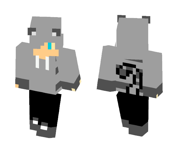 Boy Ashfur Warriors - Boy Minecraft Skins - image 1