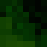 Rainbow Tiger - Male Minecraft Skins - image 3