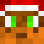 FluffyGing3r's Christmas Skin - Christmas Minecraft Skins - image 3