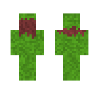 dead grass