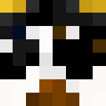 Pirate Panda - Male Minecraft Skins - image 3