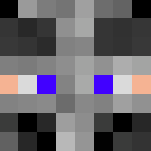 Knight Templar - Male Minecraft Skins - image 3