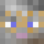 Old Luke Skywalker - Male Minecraft Skins - image 3