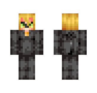 Cat Noir (Updated)