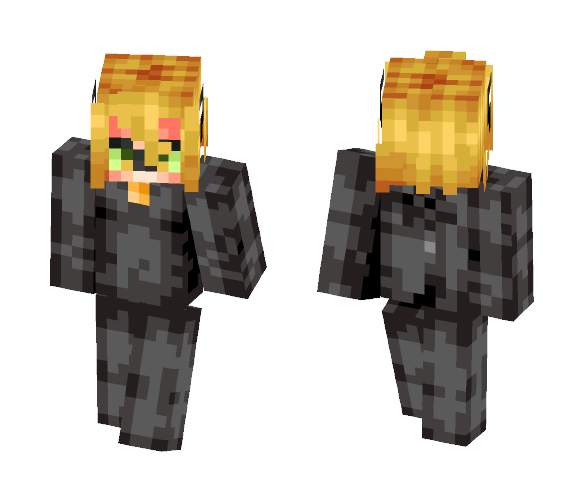 Cat Noir (Updated) - Cat Minecraft Skins - image 1