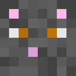 Graystripe-Warrior Cats - Male Minecraft Skins - image 3