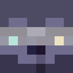 Raccoon Spy [Contest Entry] - Male Minecraft Skins - image 3