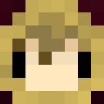 The Hooded Mage - Female Minecraft Skins - image 3