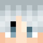 Ice Mage by Everythings3 - Male Minecraft Skins - image 3