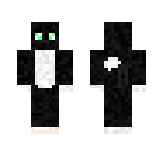 Black and white cat
