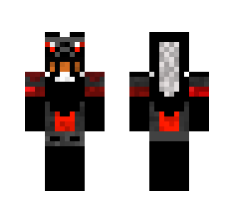 the dark Paladin