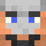 Husaria/hussars - Male Minecraft Skins - image 3