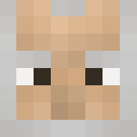Balin (The Hobbit) - Male Minecraft Skins - image 3